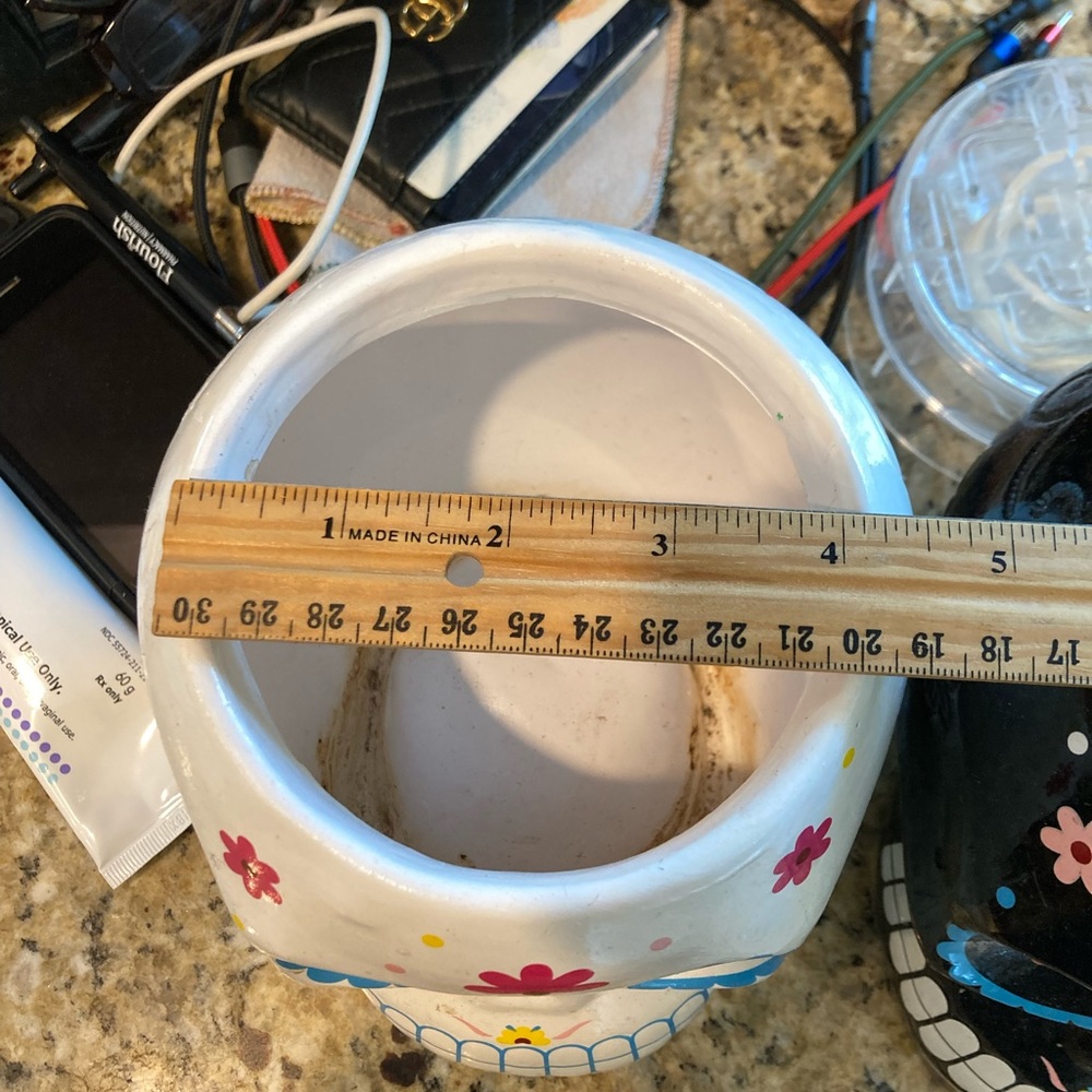 Set of 2 día de los muertos planters euc